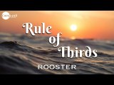 Rule of Thirds by Rooster and Copeland Coins