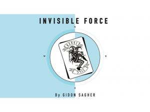 Invisible Force by Gidon Sagher eBook DOWNLOAD