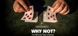 Why Not by Dani DaOrtiz (Spanish Languge)