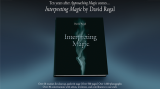 Interpreting Magic by David Regal