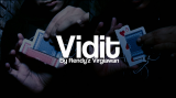 Vidit by Rendy Virgiawan