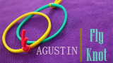 Fly Knot by Agustin video (Download)