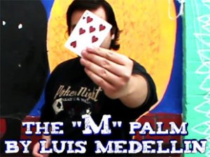 The M Palm by Luis Medellin