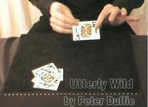 Utterly Wild by Peter Duffie