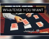 Whatever you want by Joseph B (Instant Download)