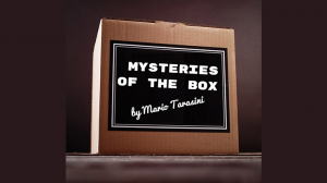 Mysteries of the Box by Mario Tarasini