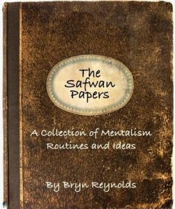 The Safwan Papers by Bryn Reynolds