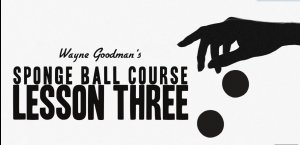 Wayne Goodman - Sponge Ball Course Lesson 3