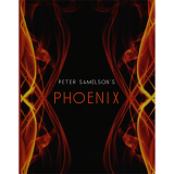 Phoenix by Peter Samelson