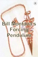 Forcing Pendulum by Bill Montana