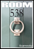 ROOM 538 by Brad Scarnecky Gordon